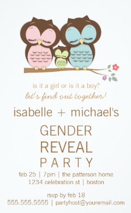 Gender Reveal Party Invitation Sample 2 | Invitations Online